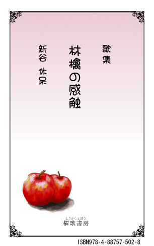 林檎の感触表紙画像